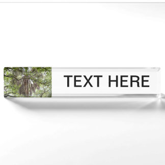 sabal palm through live oak branches tree nameplate