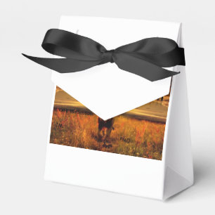 Sabbath Favour Box
