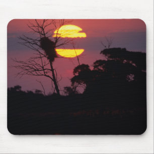 Sabi River At Sunset, Kruger National Park Mouse Pad