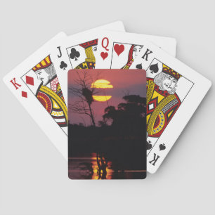 Sabi River At Sunset, Kruger National Park Playing Cards