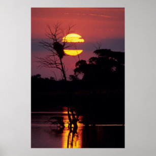 Sabi River At Sunset, Kruger National Park Poster