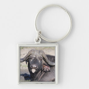 Sabi Sands Conservancy, Mpumalanga Province, 2 Key Ring