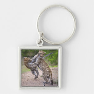 Sabi Sands Conservancy, Mpumalanga Province, Key Ring
