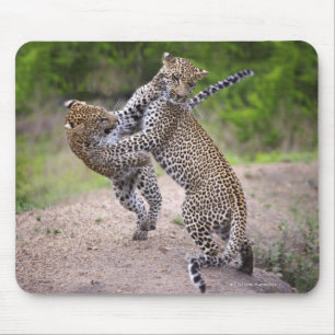 Sabi Sands Conservancy, Mpumalanga Province, Mouse Pad