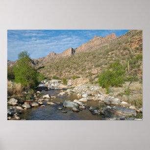 Sabino Canyon Evening Poster