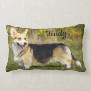 Sable Cardigan Welsh Corgi Dog Lumbar Cushion