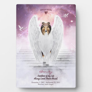 Sable Collie Angel in Heaven - Pet Memorial Photo Plaque