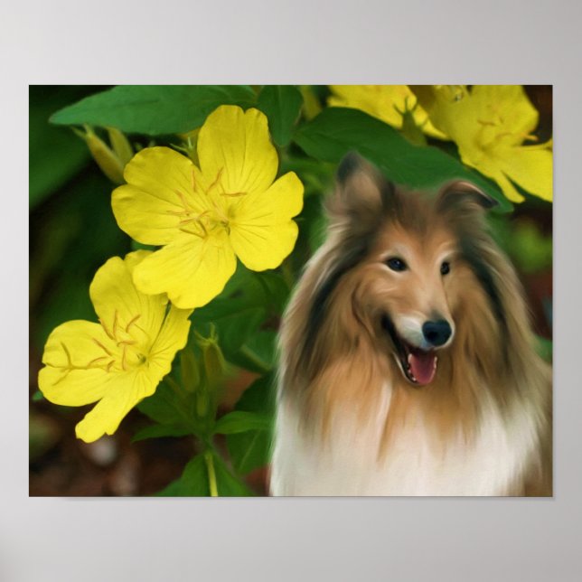 Sable Collie Yellow Primrose Dog Art Poster (Front)
