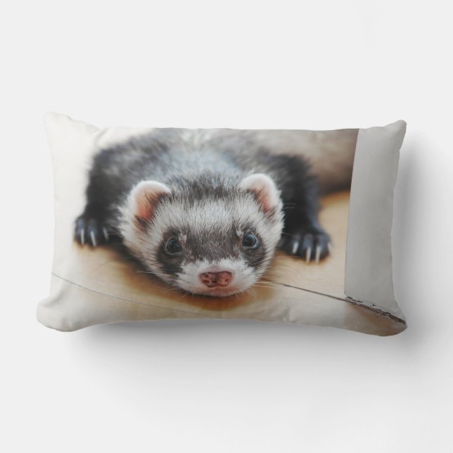 Sable Ferret Lumbar Cushion (Front)