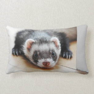 Sable Ferret Lumbar Cushion