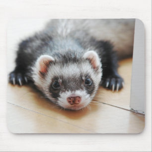 Sable Ferret Mouse Pad