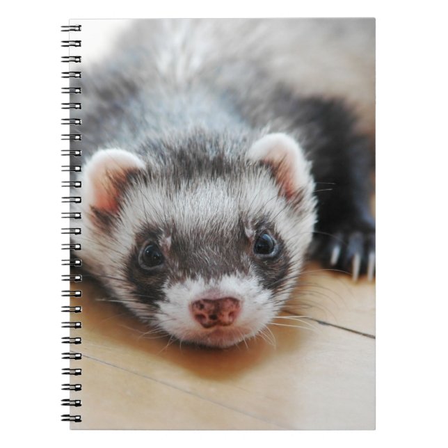 Sable Ferret Notebook (Front)
