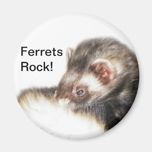 Sable Ferret Picture Magnet (Front)