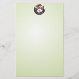 Sable Ferret Picture Stationery