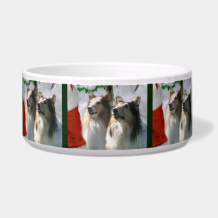 Sable Rough Collie Christmas Dog Bowl