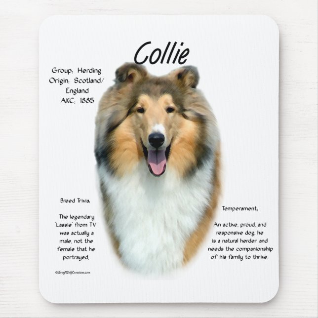 Sable Rough Collie Meet the Breed Mouse Pad (Front)