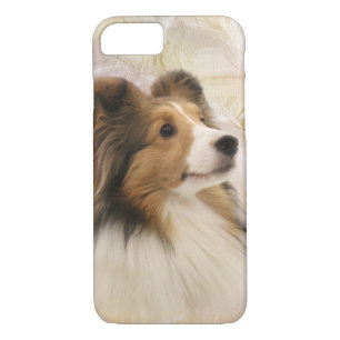 Sable Shetland Sheepdog iPhone 8/7 Case