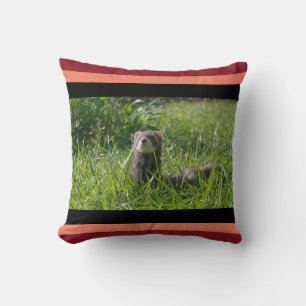 Sable Weasel Picture Cute Ferret Cushion
