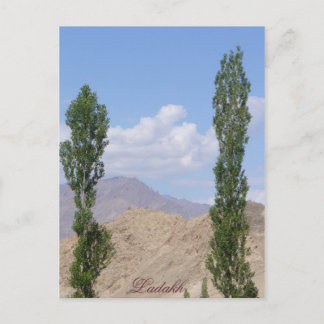 Saboo Ayu Ladakh, India Postcard