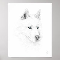 Sabre A Siberian Husky Drawing Art Blue Eyes