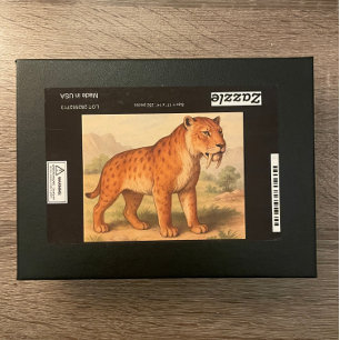 Sabre-Tooth Tiger Natural History Puzzle