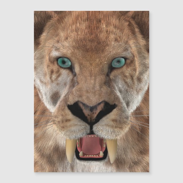 Sabre Toothed Ttiger or Smilodon (Front)