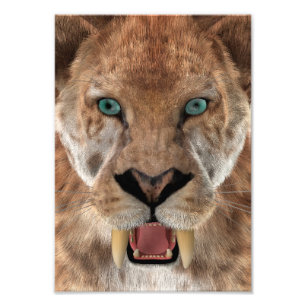 Sabre Toothed Ttiger or Smilodon Photo Print