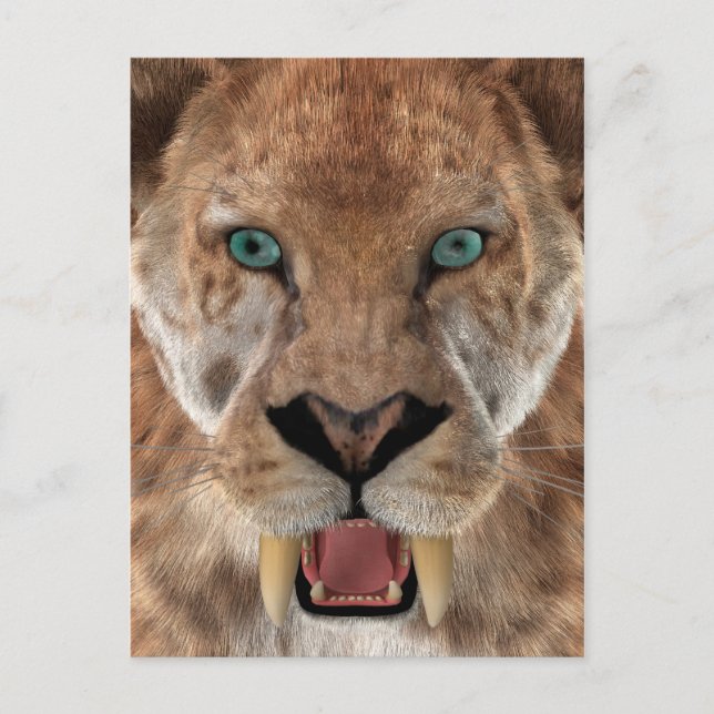 Sabre Toothed Ttiger or Smilodon Postcard (Front)