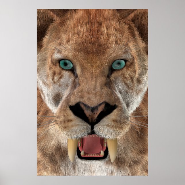 Sabre Toothed Ttiger or Smilodon Poster (Front)