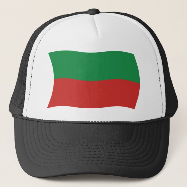 Sac & Fox Nation (Iowa) Flag Hat (Front)
