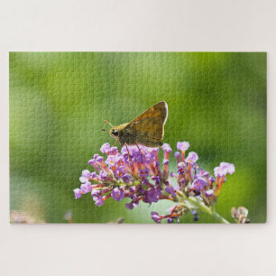 Sachem (Atalopedes campestris) Jigsaw Puzzle