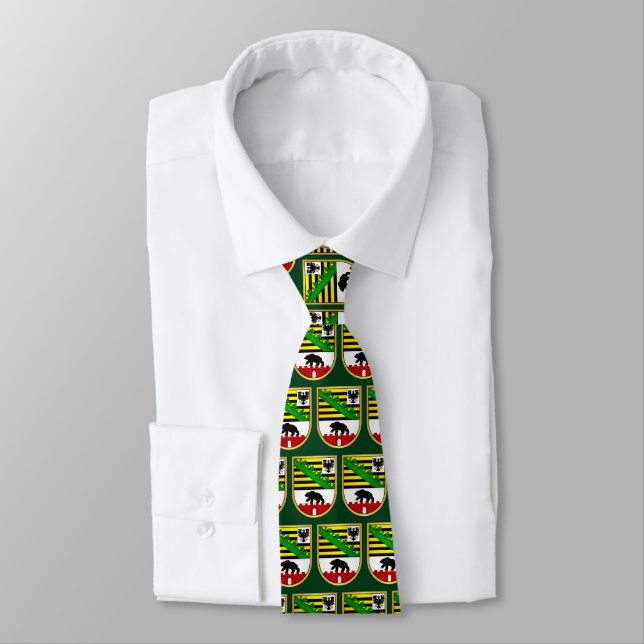 Sachsen-Anhalt Pride Tie (Tied)