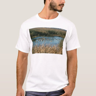 Sacramento National Wildlife Refuge T-Shirt