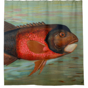 Sacramento Pike by John L Petrie Shower Curtain