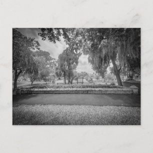 Sacred Acre Postcard