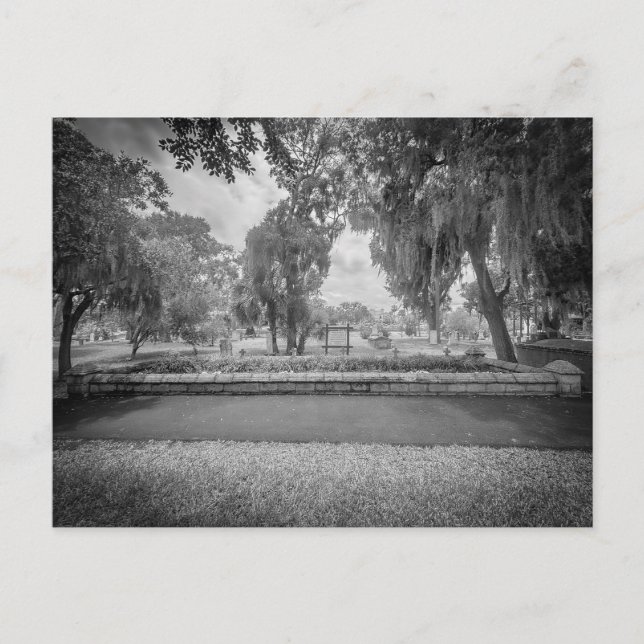 Sacred Acre Postcard (Front)