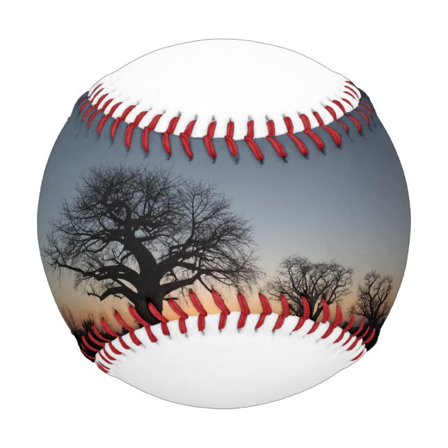 Sacred Baobabs Baseball (Front)