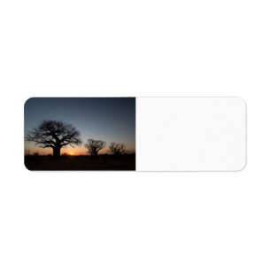Sacred Baobabs Return Address Label