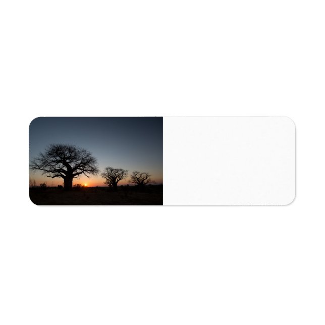Sacred Baobabs Return Address Label (Front)