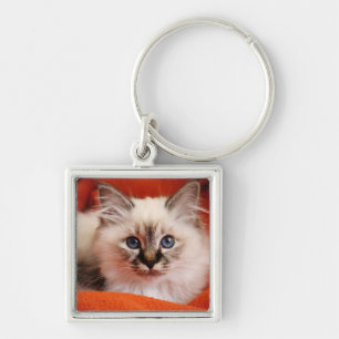 Sacred Birman Kitten Key Ring