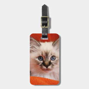 Sacred Birman Kitten Luggage Tag
