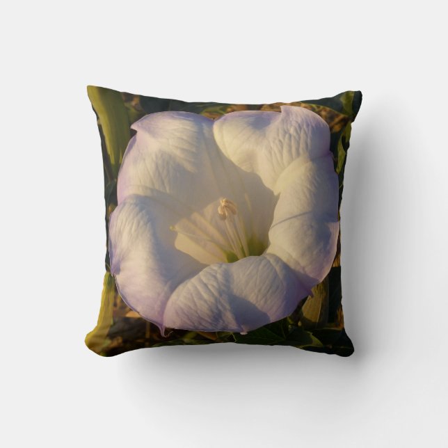 Sacred Datura Flower Desert Wildflower Cushion (Front)