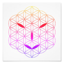 Sacred face - Arcturian 02, CF-Tr.