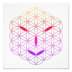 Sacred face - Arcturian 02, CF-Tr. Photo Print