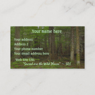 "SACRED FOREST" Nature Photo Art Profile cards