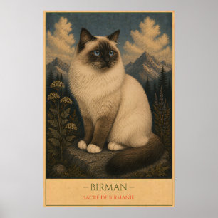 Sacred Grace: Birman Cat Poster