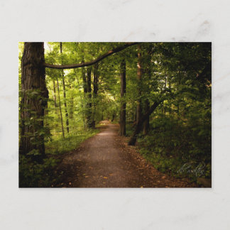 Sacred Grove, Palmyra, New York Postcard