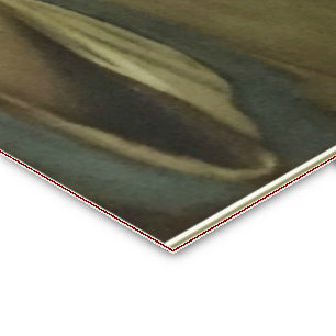 Sacred Heart of Jesus Holy Card w/prayer