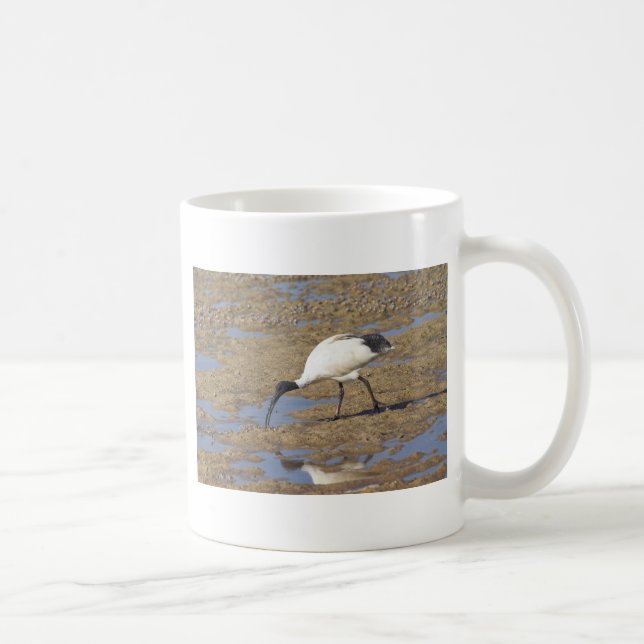 Sacred Ibis Coffee Mug (Right)