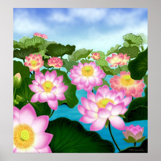Sacred Lotus Flowers Poster (Front)